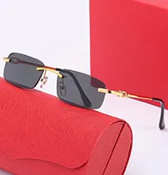 claissc man sunglasses optical artist rectangle buffalo horn metal Leopard male fashion unisex vintage with Case women_autovado.com