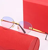 claissc man sunglasses optical artist rectangle buffalo horn metal Leopard male fashion unisex vintage with Case women_autovado.com