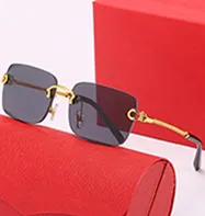claissc man sunglasses optical artist rectangle buffalo horn metal Leopard male fashion unisex vintage with Case women_autovado.com