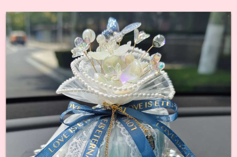 Creative Bamboo Bag, New Formaldehyde Removal, Deodorization, Aromatherapy Charcoal Bag Decoration, Fashionable Car_autovado.com