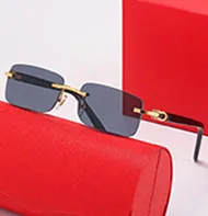 claissc man sunglasses optical artist rectangle buffalo horn metal Leopard male fashion unisex vintage with Case women_autovado.com